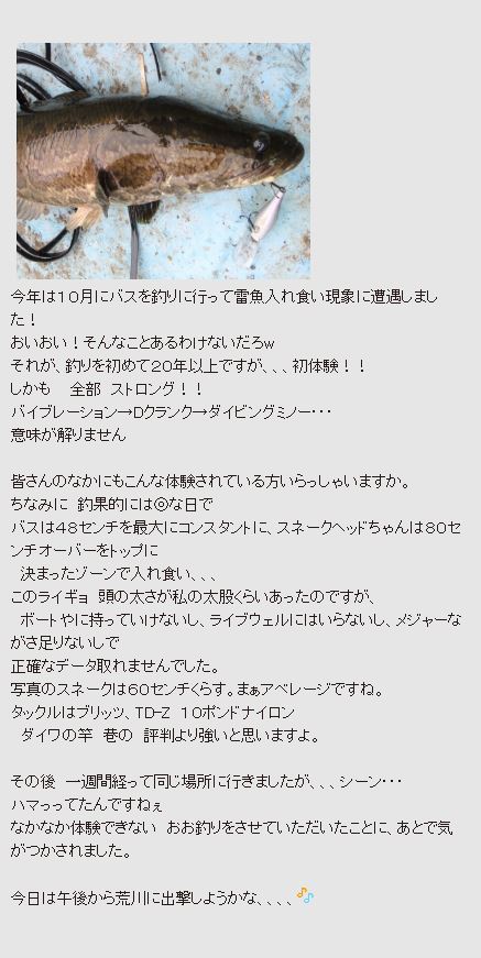 今も話題になるダイワ シマノ アブガルシア結局どこがイイ 10年頃からブームが過熱し現在に至った ベイトフィネス を振り返る 現在でもリール選びロッド選びの参考になるはず 色々なことを考え直してみよう